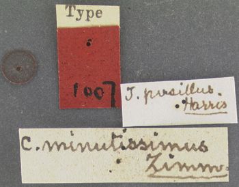 Media type: image;   Entomology 1007 Aspect: labels